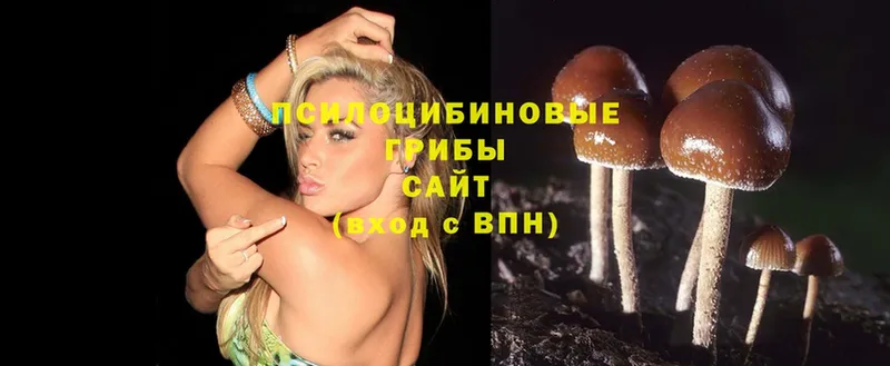 площадка клад  дарнет шоп  Лихославль  Псилоцибиновые грибы Cubensis 